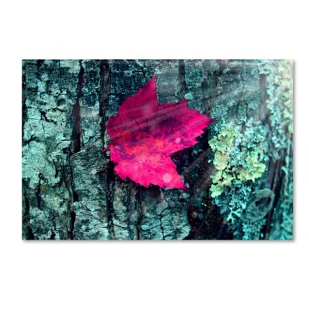 Trademark Fine Art Mark Ashkenazi 'Img 8417' Canvas Art, 30x47 ALI7902-C3047GG